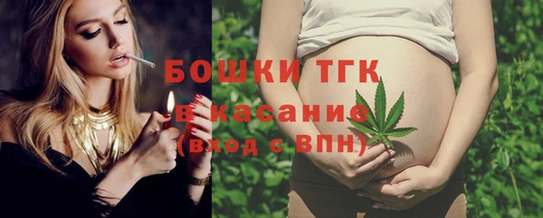 сатива Нязепетровск