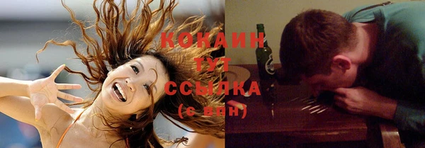 бошки Няндома