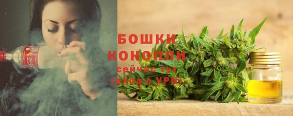 сатива Нязепетровск