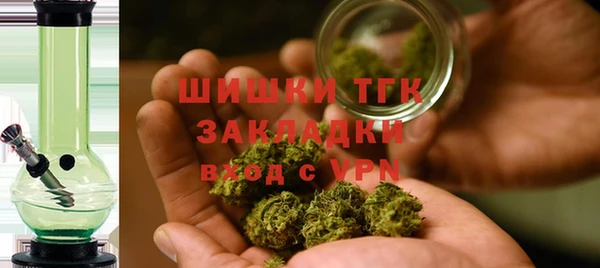бошки Няндома