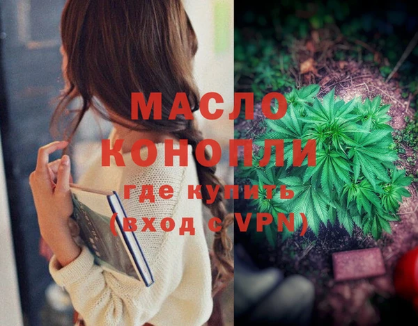 бошки Няндома