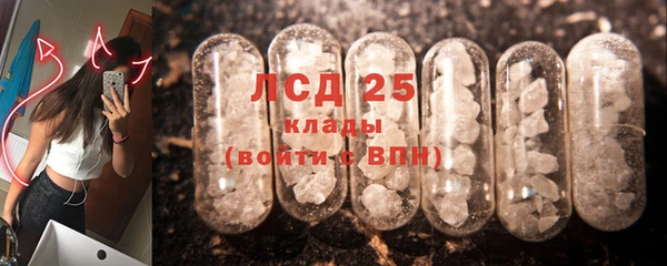 сатива Нязепетровск