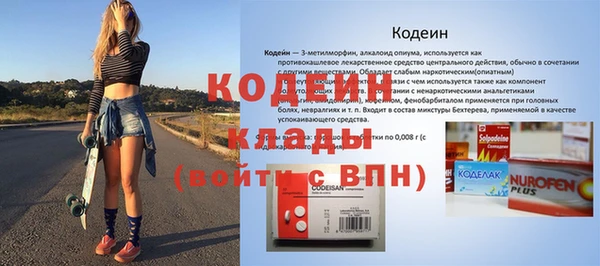 бошки Няндома