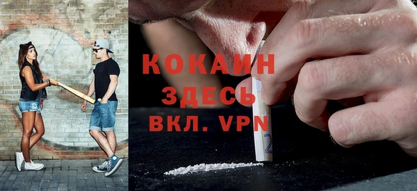 бошки Няндома