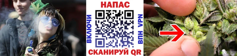 Бошки Шишки гибрид  где можно купить наркотик  Красноперекопск 